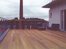 Dieses Bild vergrößern
