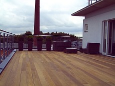 Dieses Bild vergrößern